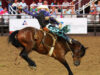 Acht Sekunden Ewigkeit: Die faszinierende Welt des Rodeos Ein Rodeoreiter mit seinem Pferd